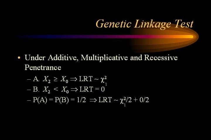 PowerPoint slide