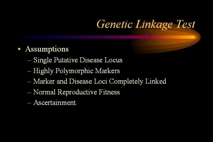 PowerPoint slide