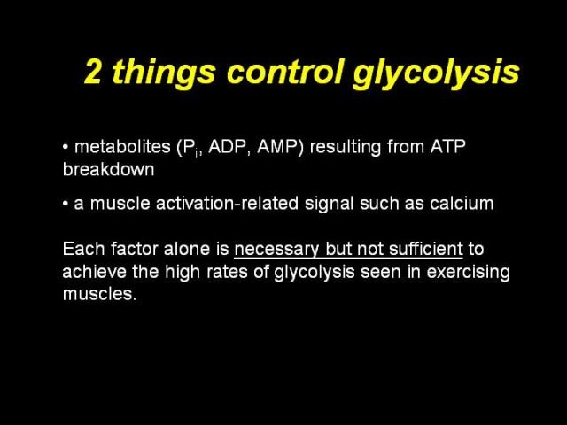 PowerPoint slide